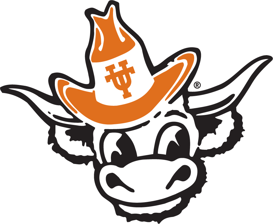 Texas Longhorns 1981-2011 Secondary Logo iron on transfers for clothing